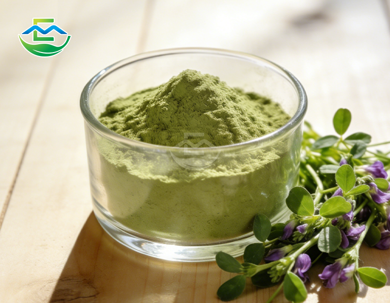 Alfalfa Powder